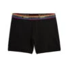6" No Fly Boxer Briefs - Black Rainbow